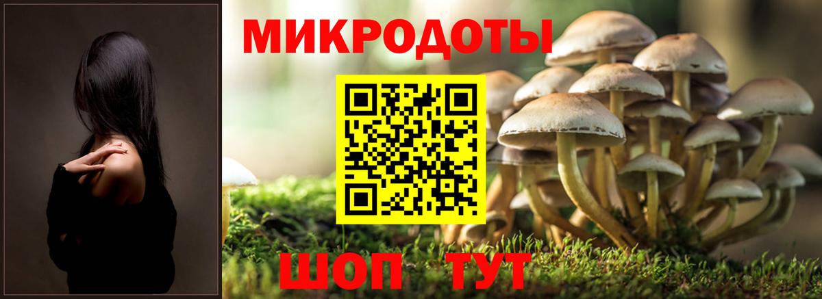 Россия  Галлюциногенные грибы прущие грибы  Вход с VPN 